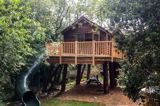 Cuckoo's Nest treehouse at Florence Springs Glamping Village - Tenby, Pembrokeshire, south west Wales